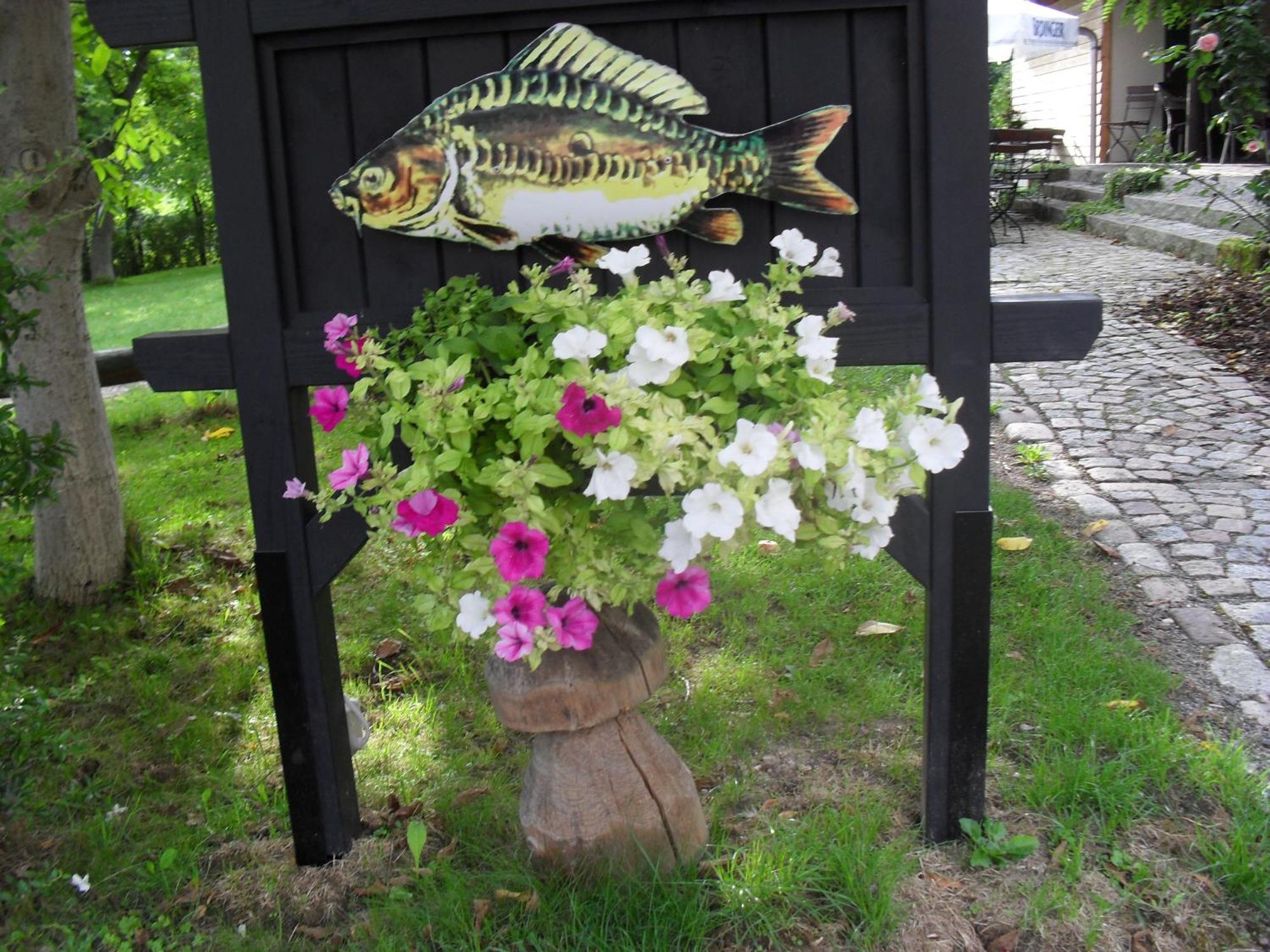 Fischerhof Crimmitschau Rum bild